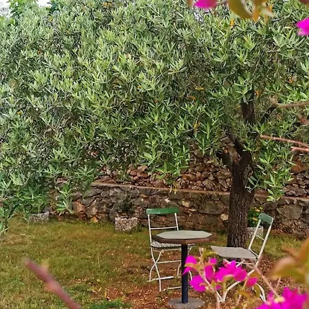 Garden - Sea View * Sevid