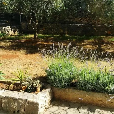Garden - Sea View